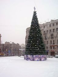 Christmas tree in the St. Petersburg street 