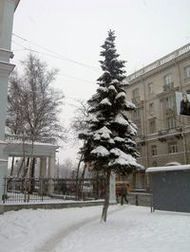 The winter view of the avenue Kamennoosotrovski