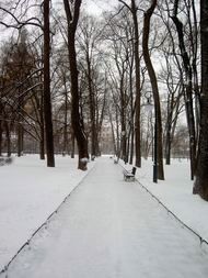 Mikhailovsky Park (behind the Russian Museum in St. Petersburg).