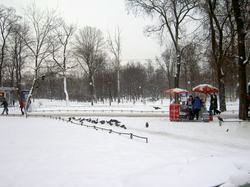 Winter St. Petersburg park